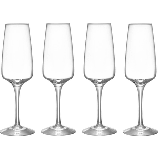 Orrefors Pulse champagneglas 28 cl 4-pak Klar