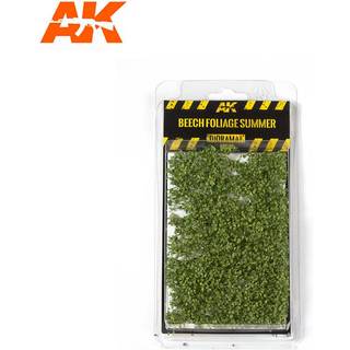 Beech Foliage Summer