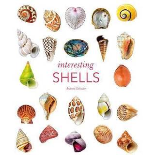 Interesting Shells
