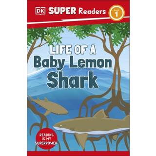 DK Super Readers Level 1 Life of a Baby Lemon Shark