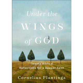 Under the Wings of God – Twenty Biblical Reflections for a Deeper Faith