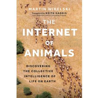 The Internet of Animals
