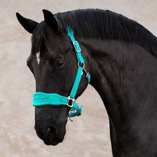 Grime Gaspari Fairfield® Bright Aqua