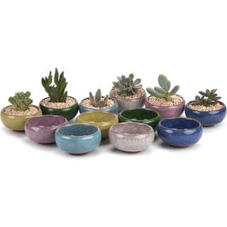 T4U 2,5 tommer lille keramisk sukkulent pottepotte med dr?nhul S?t med 12 Ice Crack Glaze Plantebeholder til kaktusplanteelsker Gaver til kvinder