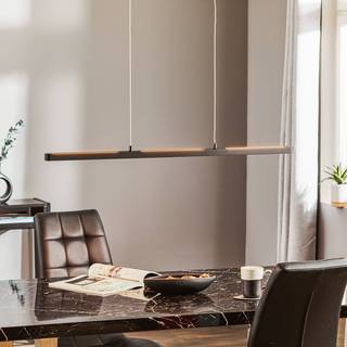 Paulmann - Lento LED Pendel Dim. Sort