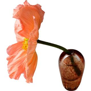 Mimou Liv Vase - Vaser Mundblæst Glas Brun - G05