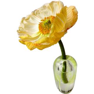 Mimou Liv Vase - Vaser Mundblæst Glas Gul - G06