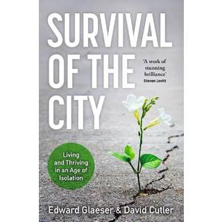 Survival of the City