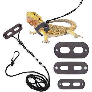 Polkastore Bearded Dragon Harness og snor Justerbar (S M L 3 Pack) - Soft Leather Reptil Lizard snor til amfibier og andre sm? k?ledyr dyr