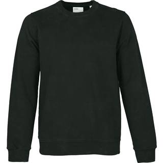 Colorful Standard Classic Organic Crew Neck Sweat Midnight Forest