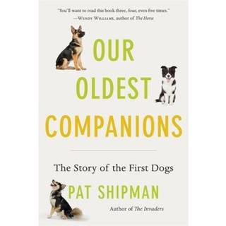 Our Oldest Companions