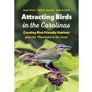Attracting Birds in the Carolinas