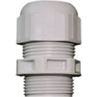 Forskruning Lang M20X1,5X15Mm