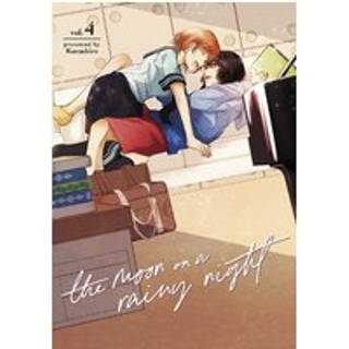 The Moon on a Rainy Night 4