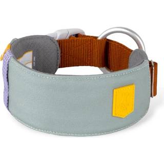 Alpha 360 Hundehalsbånd - Gletsjergrøn / S