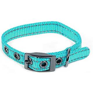 Max og Neo Max Reflective Metal Buckle Dog Collar - Vi donerer en krave til en hunde redning for hver solgte krave (X -Small Teal)