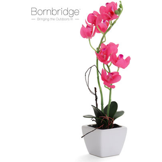 Bornbridge Artificial Orchid - Fake Orchid Plant med ?gte ber?ringsblomster - Faux Orchid med lange stamkunstige blomster - Potten Orchid/Plastic