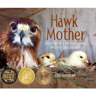 Hawk Mother
