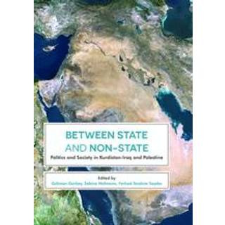 Between State and Non-State