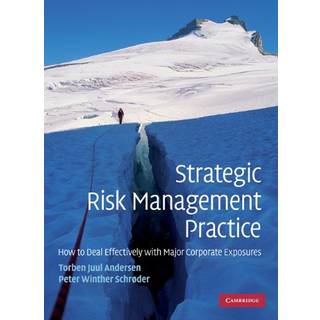 Strategic Risk Management Practice