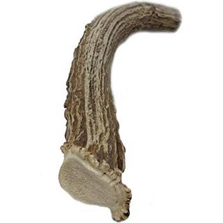 Whitetail Naturals | R?de hjorte gevirer til ekstra store hunde - (jumbo -xxl) - Naturligt kaste langvarig tyggeben for aggressive tyggere