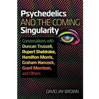Psychedelics and the Coming Singularity