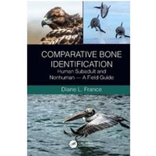 Comparative Bone Identification