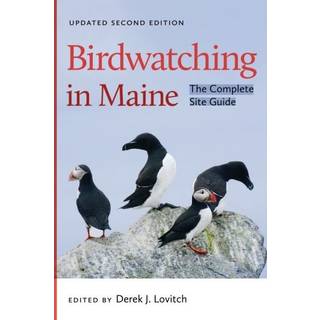 Birdwatching in Maine
