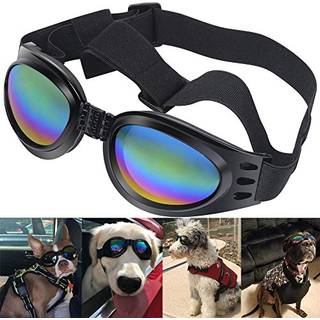Qumy hund solbriller hundebriller til mellemstore store race hunde vindstøvtåge beskyttelse øje slid kæledyr briller med justerbar rem til motorc