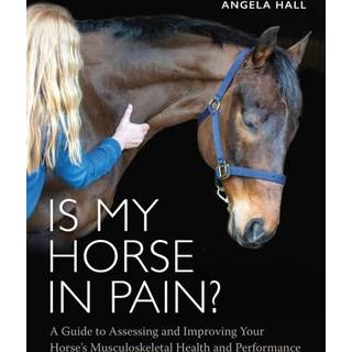 Is My Horse in Pain?