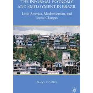 The Informal Economy and Employment in Brazil