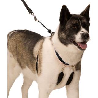 Sporn Original Training Dog Halter Harness Extra Størrelse Ingen træksele til hunde med sort polstrede Sherpa -ærmer Åndbar hundehoved Halter Sel