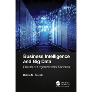 Business Intelligence and Big Data