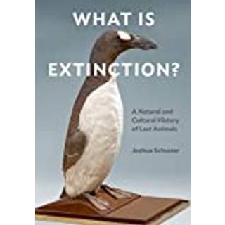 What Is Extinction?