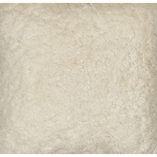 Emily spisebordsstol | Korthåret