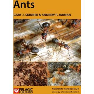 Ants
