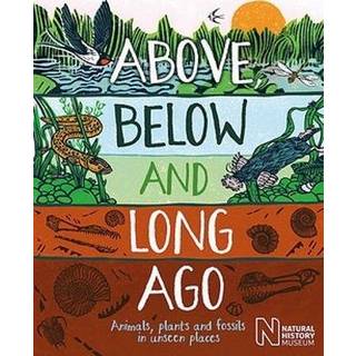 Above, Below and Long Ago