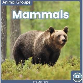 Mammals