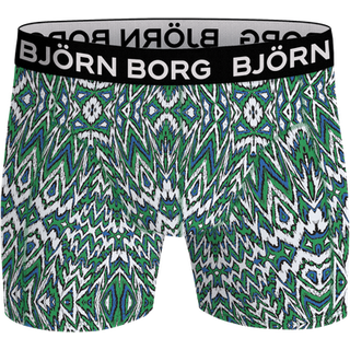 Björn Borg Microfiber Boxer 1-pack Grøn, M