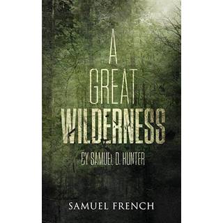 A Great Wilderness