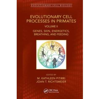 Evolutionary Cell Processes in Primates