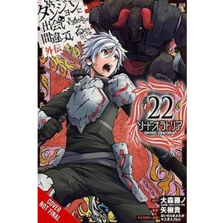 Is It Wrong to Try to Pick Up Girls in a Dungeon? On the Side: Sword Oratoria, Vol. 22 (manga)