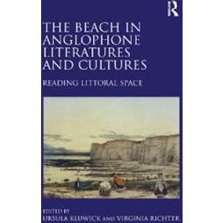 The Beach in Anglophone Literatures and Cultures