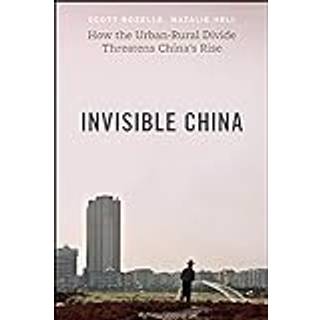 Invisible China