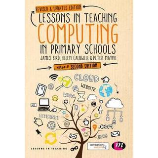 Lessons in Teaching Computing in Primary Schools