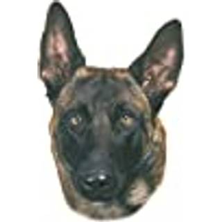 Sticker Malinois