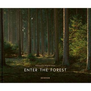 Enter the Forest