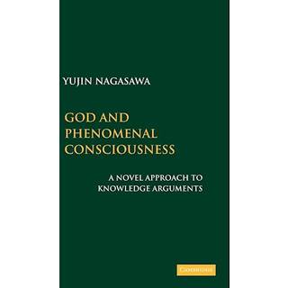 God and Phenomenal Consciousness