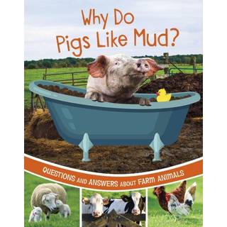 Why Do Pigs Like Mud?