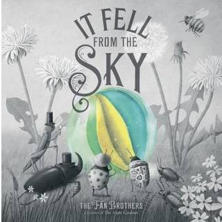 It Fell From The Sky